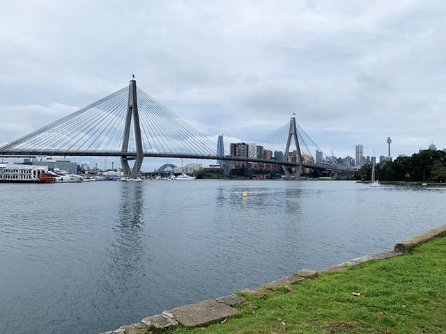 Anzac Bridge view from Jubilee Park