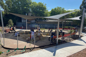 Federal Park Playground Annandale sandpit