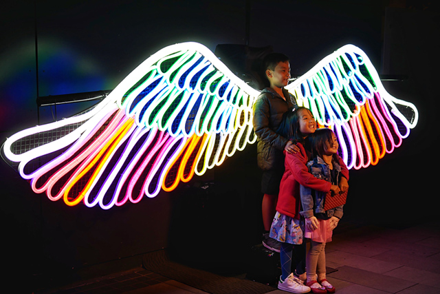 Glow light festival at Sydney Zoo