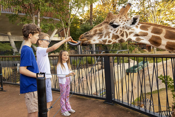 Things to do in Sydney’s Easter school holidays 2022 | Inner West Mums