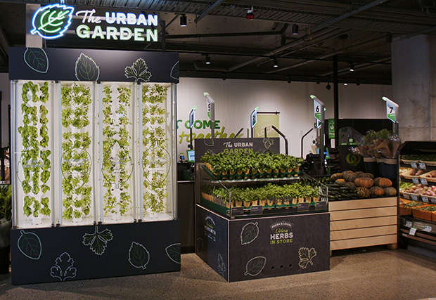 Urban Garden at Woolworths, Park Sydney Village Erskineville