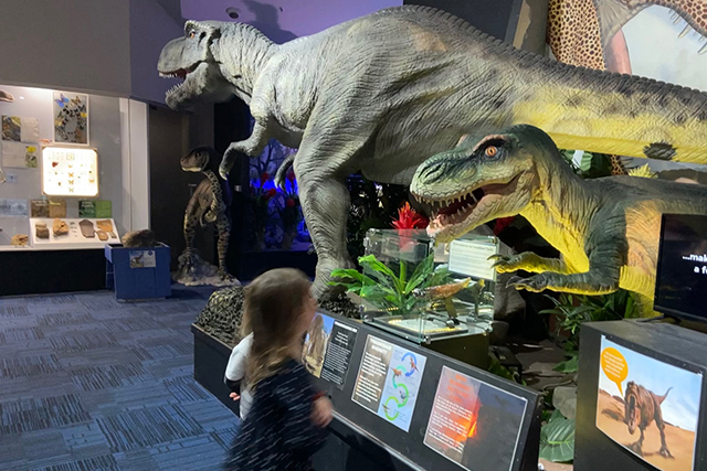 Australian Dinosaur Museum