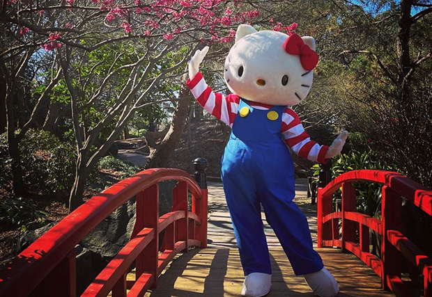 Hello Kitty will be at the Cherry Blossom Festival in Auburn